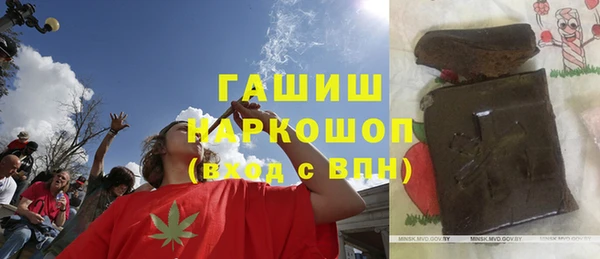 шишки Богородицк