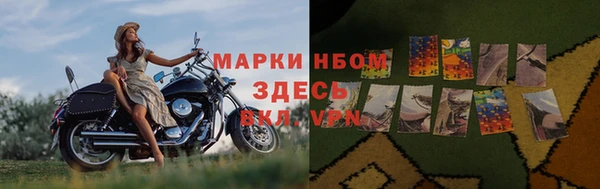 дживик Беломорск