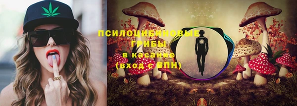 прущие крисы Белоозёрский