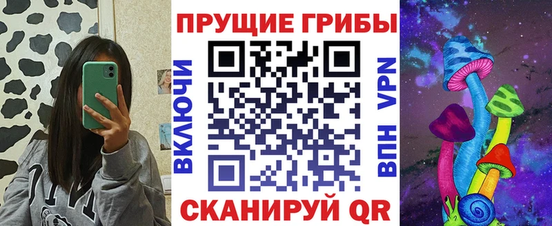 Галлюциногенные грибы Psilocybe  Михайловск 